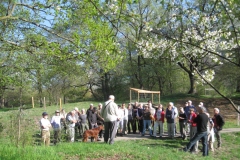 Herrschaftliche Grenzen 1 2011