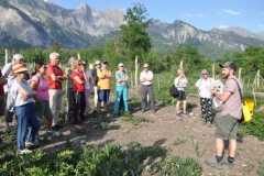 Testpflanzungen Fuchsenwinkel