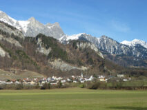 Flaesch