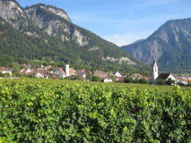 Malans